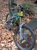 Yeti 303