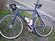 Diamondback Expert