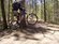DeVinci Dragonfly 
