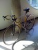 LeMond Sarthe