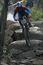 Buller_2005_thumb_wide