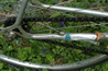 Dsc_0002_thumb_wide