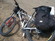 Orbea Sport