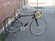 Scattante SRL Cross