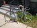 Schwinn Tempo