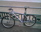 Img00085_thumb_wide