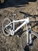  Santa Cruz Chameleon