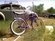 Schwinn String-Ray