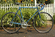 Schwinn Super Le Tour 12.2
