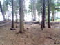 Image000_thumb_wide