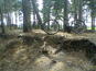 Image001_thumb_wide
