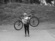 Jamis trail x 3.0