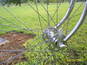 S5030410_thumb_wide