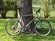 Litespeed Lookout Mtn