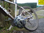 Dsc01833_thumb_wide