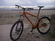 Santa Cruz Chameleon