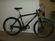 Schwinn Homegrown