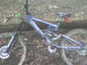 Dsc00028_thumb_wide