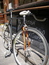Fish_n_bike_thumb_wide