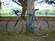 Klaus Poloni Custom