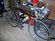 Schwinn schwinn