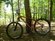 Norco Norco Fireball
