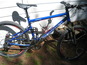 Img_2165_thumb_wide