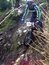 N551591687_69332_3508_thumb_wide
