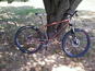 062109_1058_00__thumb_wide