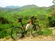 Orbea 01 MTB