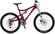 Santa Cruz Heckler