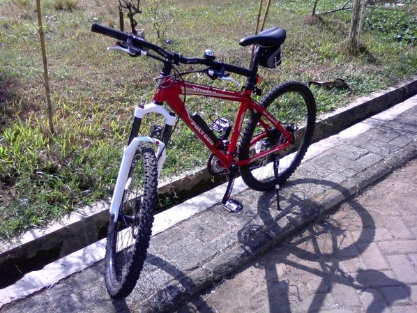 http://s3.amazonaws.com/ibike/pictures/331446/P30-07-09_09.44_3__large.jpg