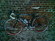 storck cd 0.9