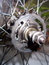 100_0806_thumb_wide