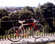 Schwinn Supersport