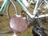 Lemond Versaille (wsd)