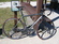 Specialized Allez