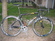 Giant TCR0