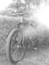 P1010017_thumb_wide