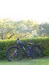 P1010008_thumb_wide