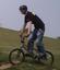 Haro Backtrail x-1