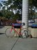 Trek Trel 560 Pro