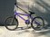 S&M  Kris Bennett Signature
