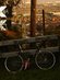 Raleigh Routier
