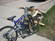 Schwinn sx-60