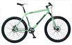 Bianchilewis_07_thumb_wide