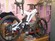 Iron Horse SGS