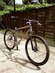 Custom Unbranded
