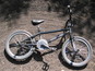 New_pictures_032_thumb_wide