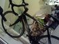 0713072045_thumb_wide